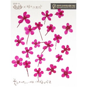 [압화/줄기꽃]수채화줄기-핑크(20개)