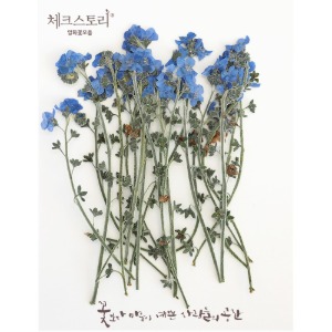 [압화/줄기꽃]물망초줄기(자연)-블루A(20개)