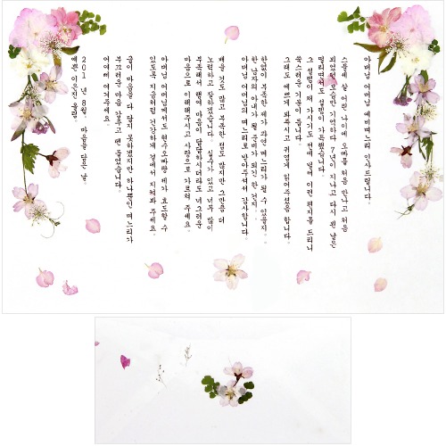 [A4사이즈-DIY] 압화예단편지 - 벚꽃바람세트