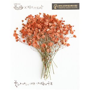 [압화/줄기꽃]안개꽃줄기- 오렌지(20개)
