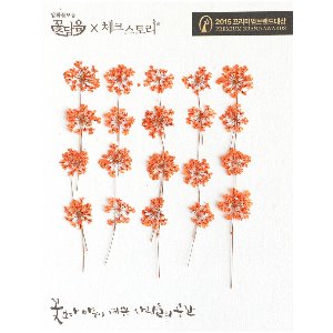 [압화/줄기꽃] 레이스플라워줄기 - 오렌지(20개)