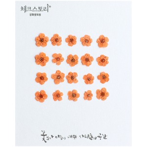 [압화/꽃송이] 조팝-오렌지(20개)