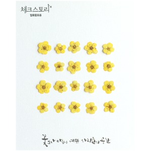 [압화/꽃송이] 조팝-옐로우(20개)