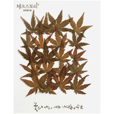 줄기잎 - 미니단풍잎 브라운(20개)(자연)