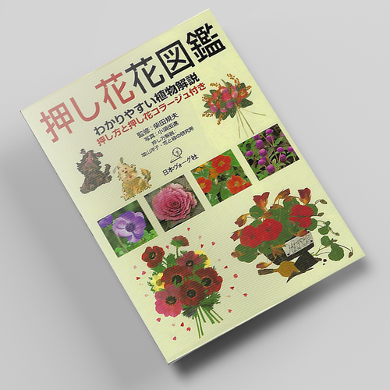 꽃누르미 꽃 도감 아트 압화서적 압화만들기튜토리얼 일본압화책